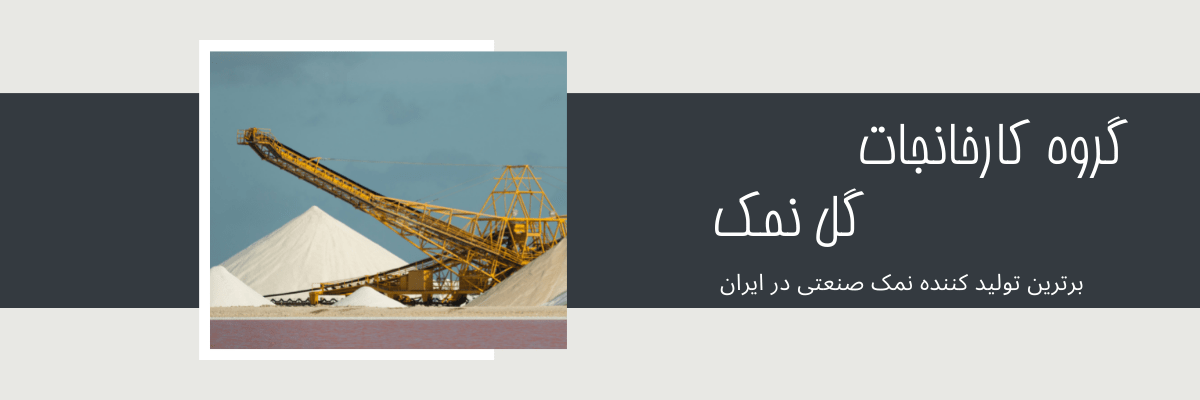 گروه کارخانجات گل نمک