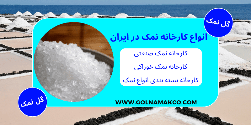 انواع کارخانه نمک در ایران