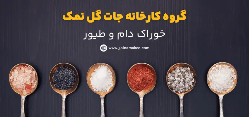 خوراک دام و طیور