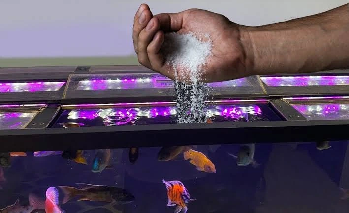 نمک در استخر پرورش ماهی و آکواریوم