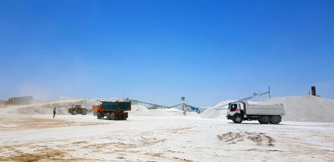 ۷ استراتژی مؤثر برای صادرات نمک به بازارهای نوظهور