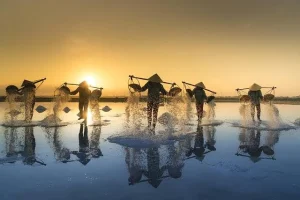 چرا نمک دباغی در صنایع چرمسازی مدرن ضروری است؟