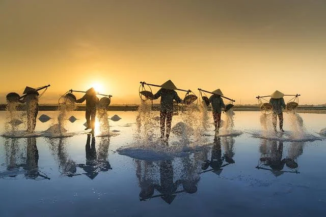 نمک دباغی در صنایع چرمسازی